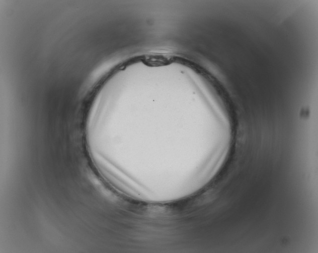 X0000113861456200910221430