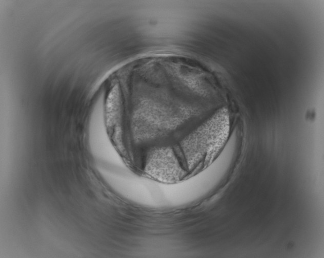 X0000113861457200910221430