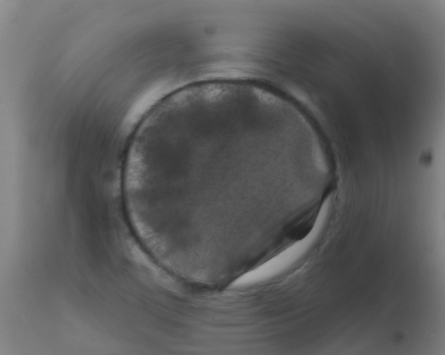 X0000113861459200910221430