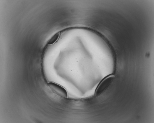 X0000113861460200910221430