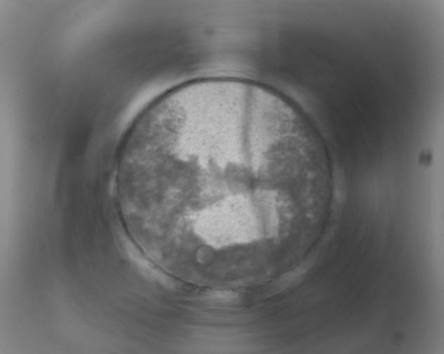 X0000113861462200910221430