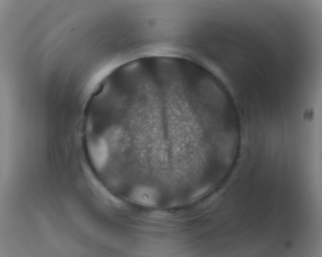 X0000113861463200910221430