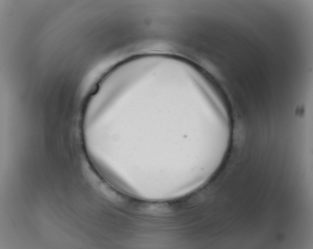 X0000113861464200910221430