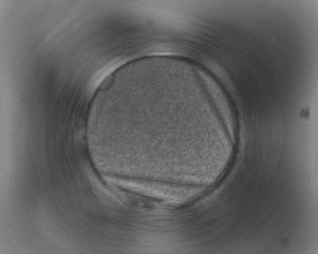 X0000113861465200910221430
