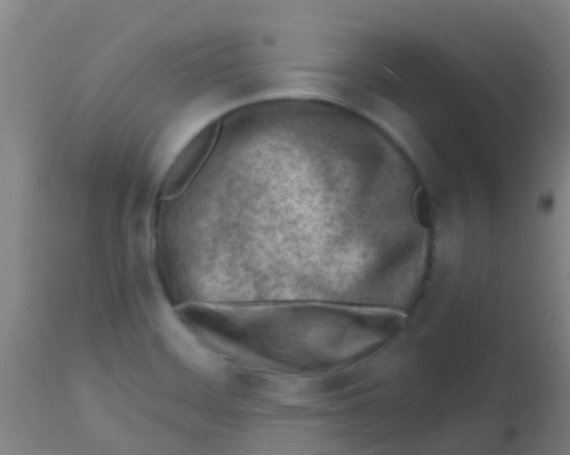 X0000113861468200910221430