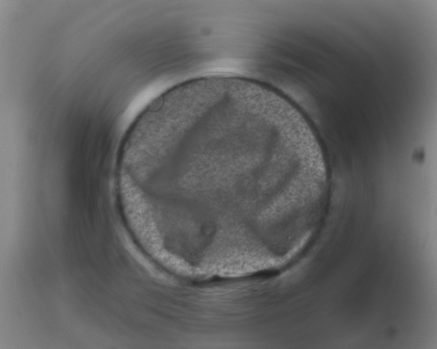 X0000113861469200910221430