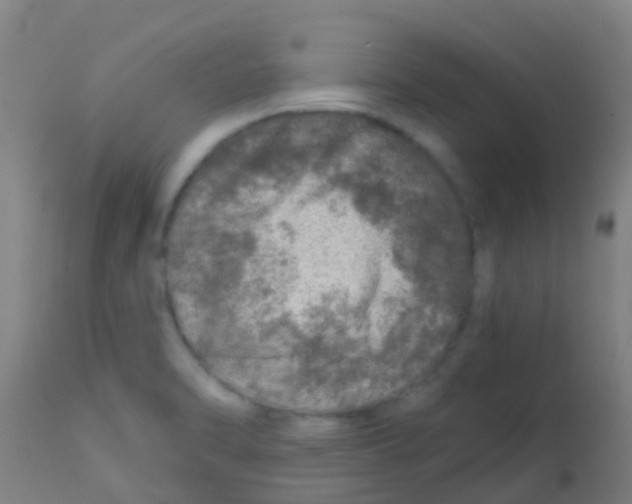 X0000113861470200910221430