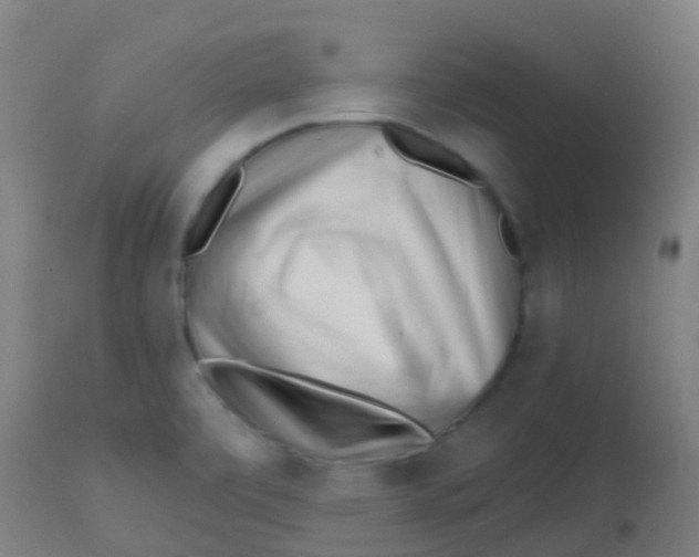 X0000113861472200910221430