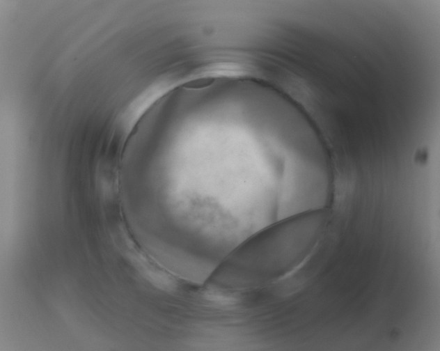 X0000113861473200910221430