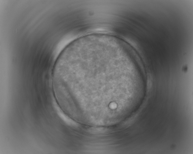 X0000113861474200910221430