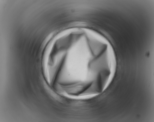 X0000113861475200910221430