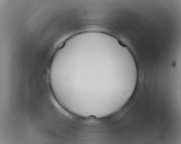 X0000113861476200910221430