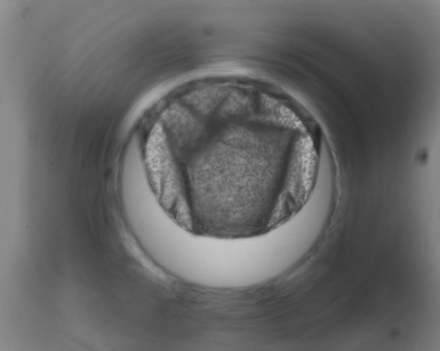 X0000113861477200910221430
