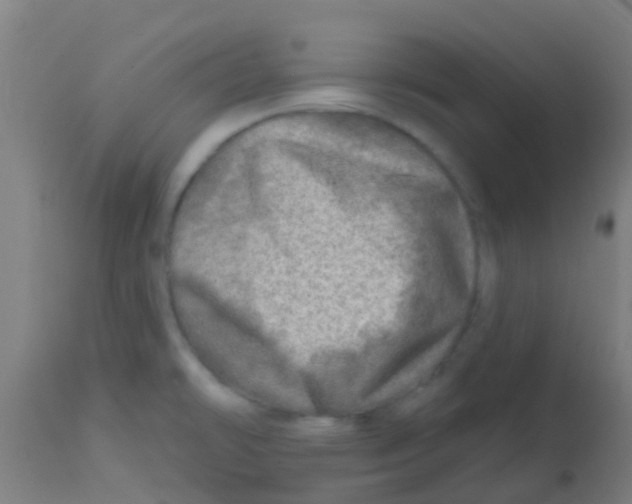 X0000113861478200910221430