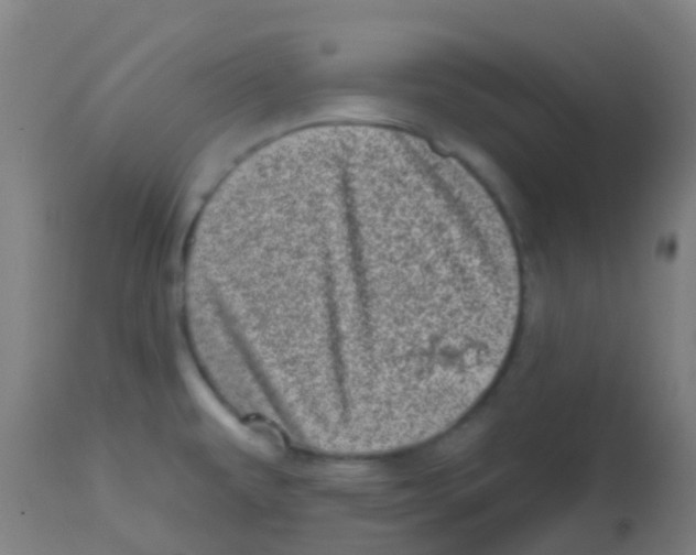 X0000113861479200910221430