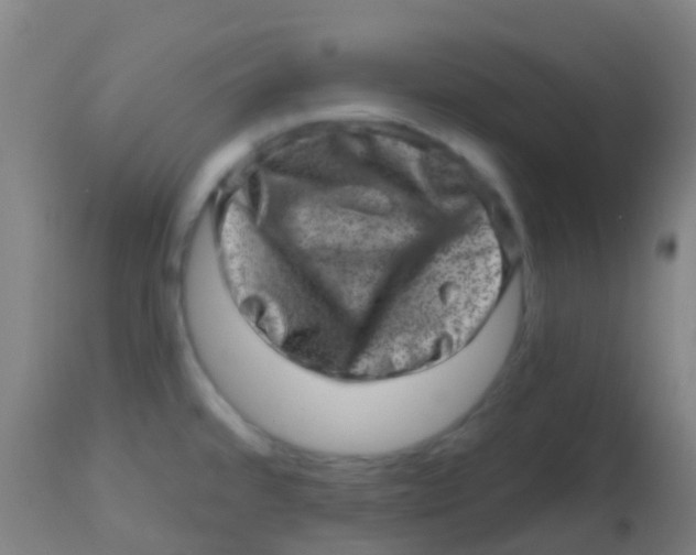 X0000113861480200910221430