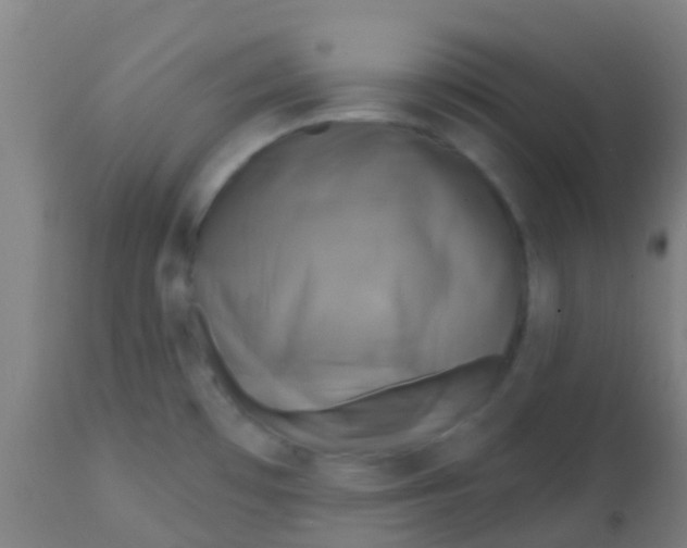 X0000113861481200910221430