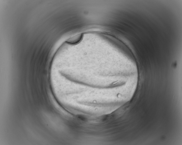 X0000113861483200910221430