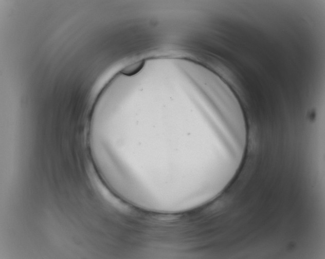 X0000113861484200910221430