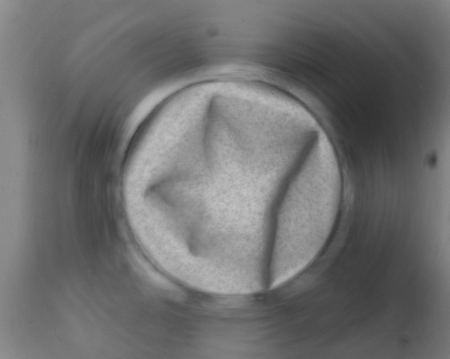 X0000113861486200910221430