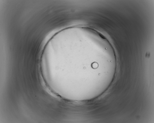 X0000113861488200910221430