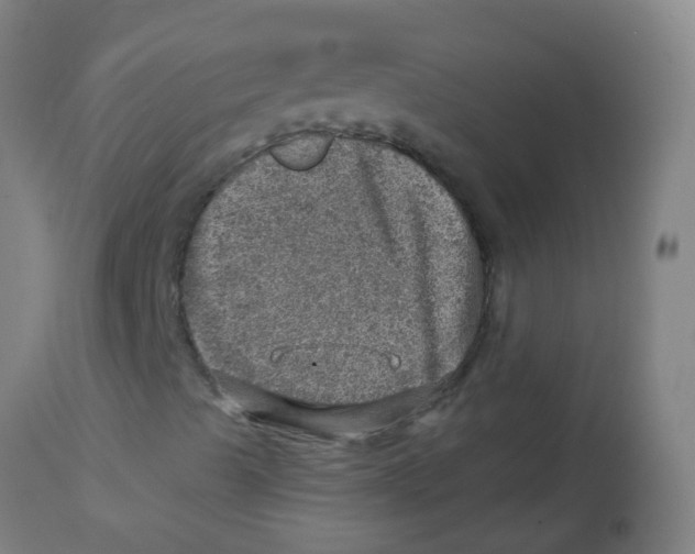 X0000113861489200910221429
