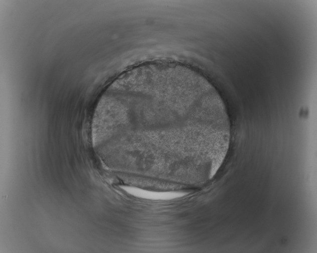 X0000113861490200910221429