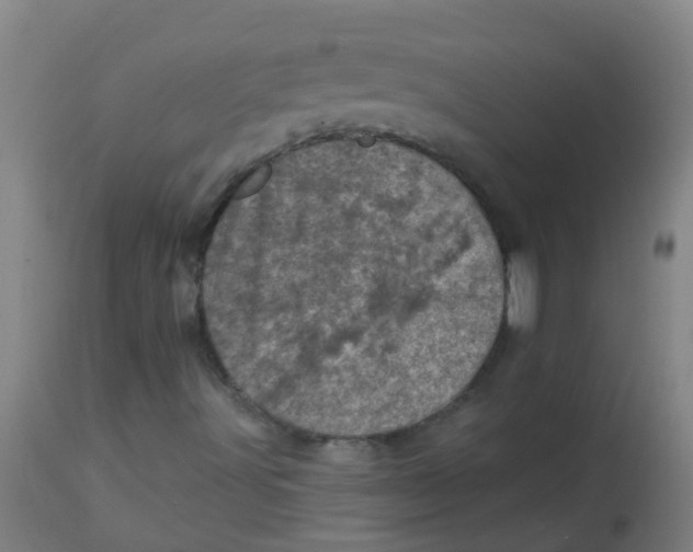 X0000113861491200910221429