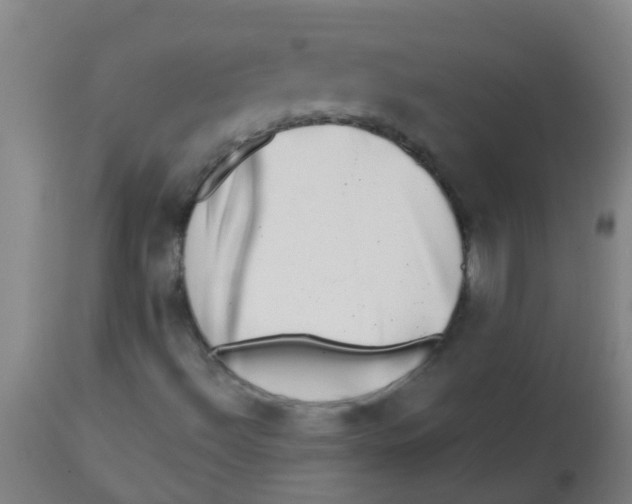 X0000113861492200910221429