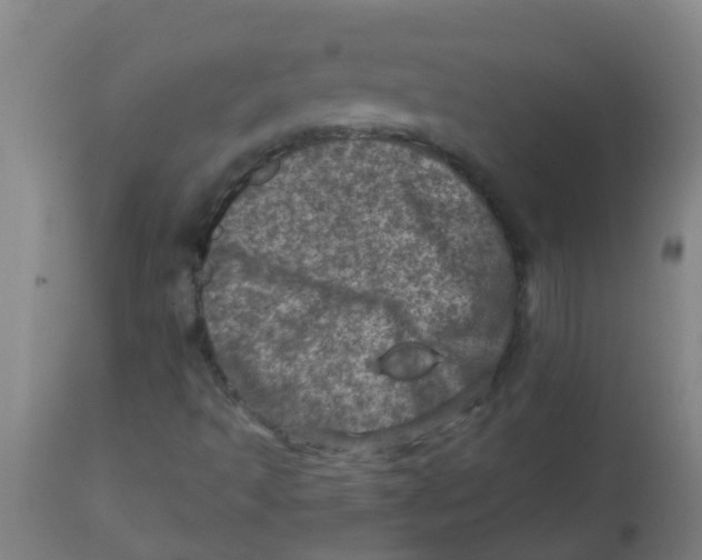 X0000113861493200910221429