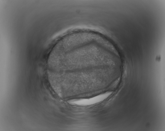 X0000113861494200910221429