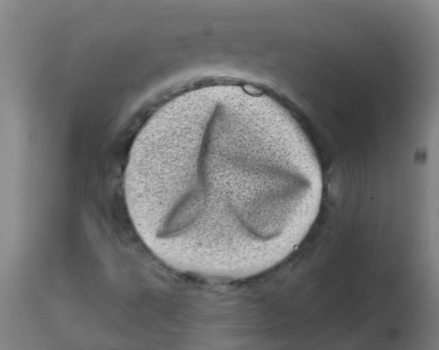 X0000113861495200910221429