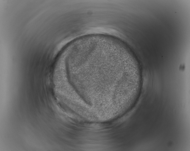 X0000113861497200910221429