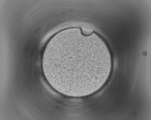 X0000113861498200910221429
