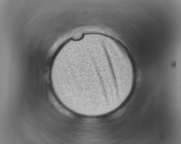 X0000113861499200910221429