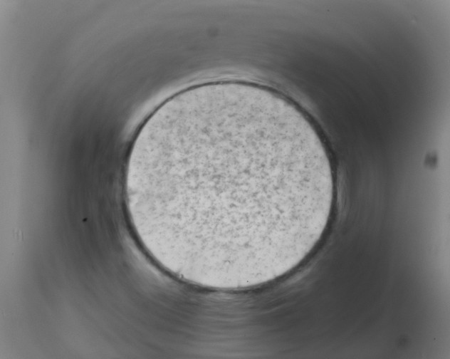 X0000113861500200910221429