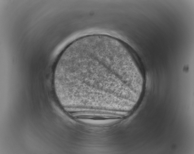 X0000113861502200910221429
