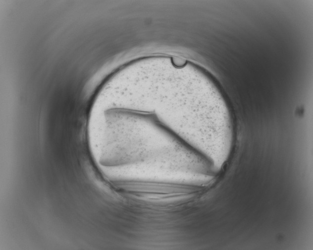 X0000113861507200910221429