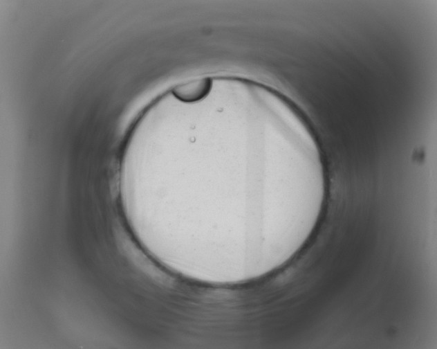 X0000113861510200910221429