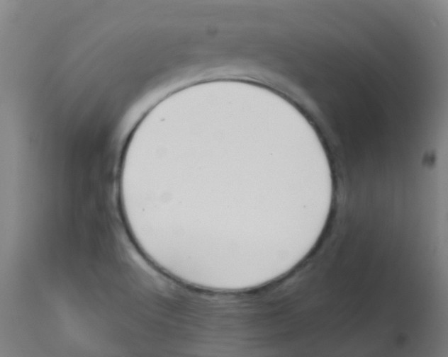 X0000113861512200910221429