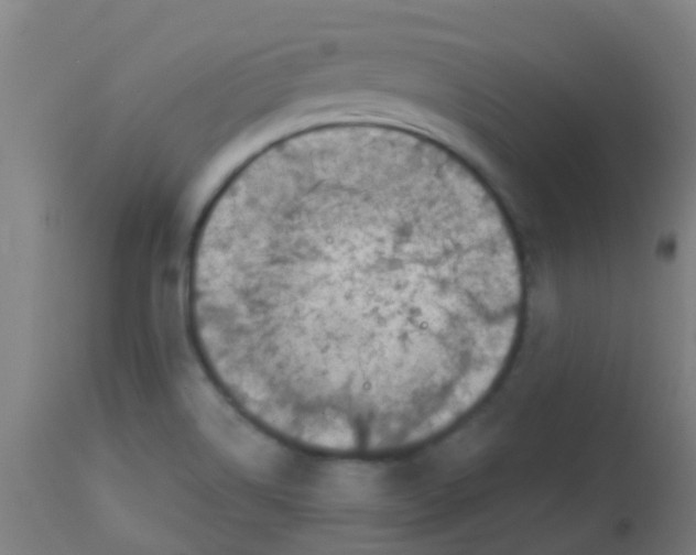 X0000113861514200910221429