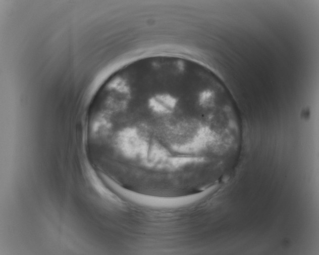 X0000113861515200910221429