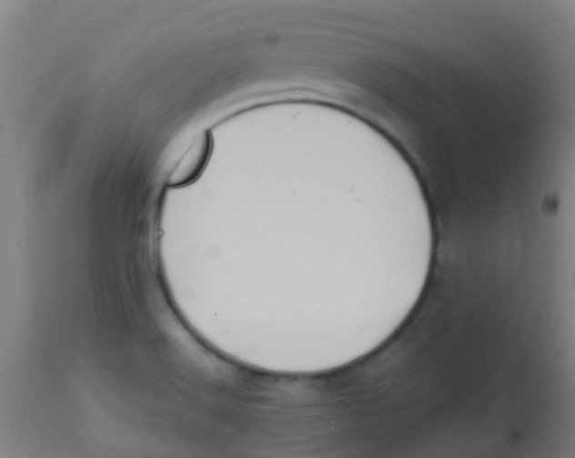 X0000113861516200910221429