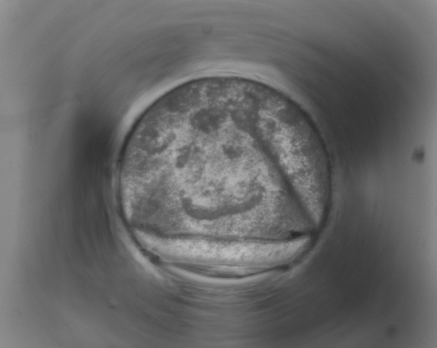 X0000113861517200910221429