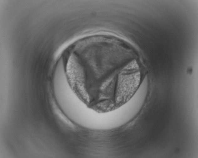 X0000113861518200910221429