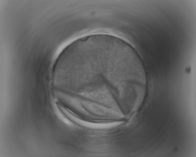 X0000113861519200910221429