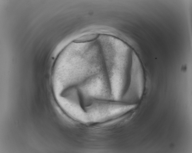 X0000113861520200910221430