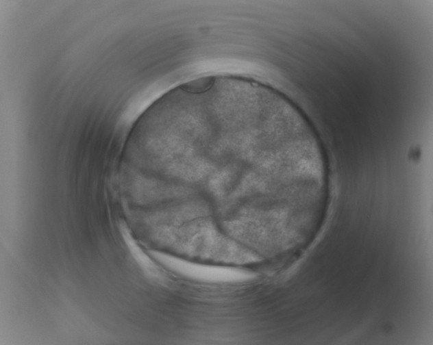 X0000113861521200910221430