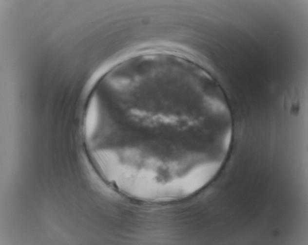 X0000113861522200910221430