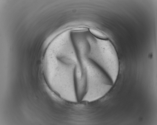 X0000113861524200910221430